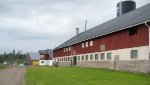Det nya slakteriet skulle byggas intill ladugårdarna på Västankvarn gård, men man har nu hittat en ny plats i närheten. I förgrunden Västankvarn gård gamla ladugprd, i mitten den som byggdes 1997 och längst bort syns nybygget.