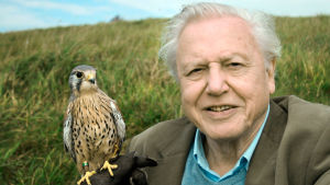 David Attenborough – luonnon asialla, yle tv1