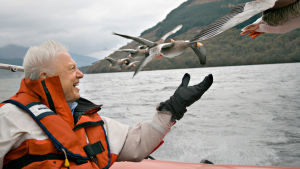 David Attenborough – luonnon asialla, yle tv1
