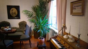The Livingroom in the Sibelius birth home.
