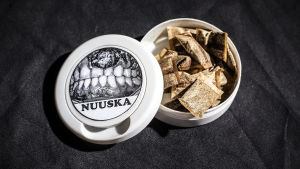 Pussi- tai irtonuuska: haitallista joka muodossa. Nuuskatupakkaa rasiassa.