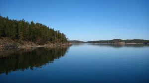 Det gäller att vara uppmärksam om man rör sig i Åbolands skärgård just nu när några flasknosdelfiner rör sig i vattnet. skärgårdsvy med hav och mindre öar med klippor och träd i bakgrunden