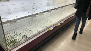 Tomma hyllor i livsmedelsbutik i Milano 23.2.2020. Italienarna hamstrar mat av rädsla för smittospridning. Tomma hyllor i livsmedelsbutik i Milano 23.2.2020. Italienarna hamstrar mat av rädsla för smittospridning.