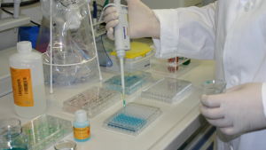 In vitro-test, alltså forskning med odlade celler, är ett sätt att ersätta djurförsök. Inne i ett laboratorium. Vi ser två händer som med hjälp av en apparat droppar ner en blå vätska i små provrör.