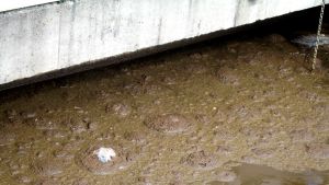 Avloppsvatten renas. Vad har du spolat ner i toaletten i dag? Bild: YLE/Smältpunkt/Linda Grönqvist