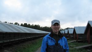 Finländska pälsfaramare klarar sig nog, säger Kenneth Ingman, ordförande för Finlands pälsdjursuppfödare.