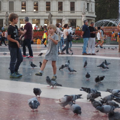 Barn och duvor på Plaza Cataluña.