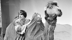 Beduiiniksi pukeutunut Ismo Kallio "Arabi-Ahabina" tekokamelin kyydissä ohjelmassa Iskelmäkaruselli vuonna 1962.
