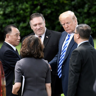 President Donald Trump och utrikesminister Mike Pompeo träffade det nordkoreanska arbetarpartiets vice ordförande Kim Yong-chol i början av juni i Washington.