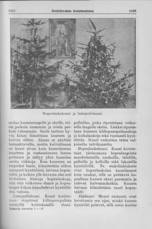 Joulukuusen koristelun ohje