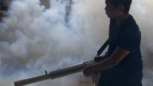 Gift mot den mygga som sprider zikavirus sprutas i Yangoon, Myanmar. Hälsoarbetare sprider gift mot myggor som sprider zikavirus