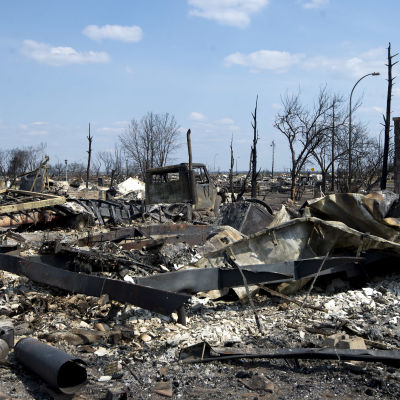 Nerbrända bilar och träd i Fort McMurray, Kanada, efter skokgsbranden i maj.