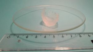 Hydrogel som framställts av modifierad hemicellulosa. En rosa gelklump i ett laboratorium.