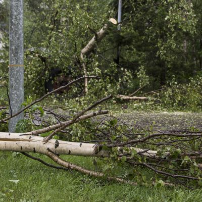 Salomo-myrskyn tuhon jälkiä.