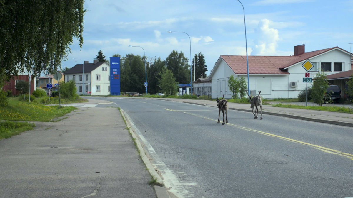 Suomi sellaisena kuin se on – Virpi Suutarin uutuus on matka Kansanradion maisemaan - Vimarsana News