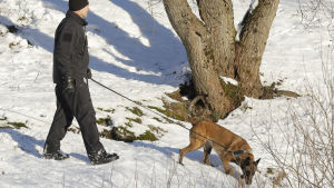 Polisen använder sig av spårhund utanför Oslo i januari 2019 Letande efter Anne-Elisabeth Hagen i Fjellhamar norr om Oslo 10.1.2019