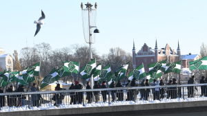 Nordiska motståndsrörelsen paraderar i Sverige. Nordiska motståndsrörelsen marcherar i Stockholm 12.11.2016
