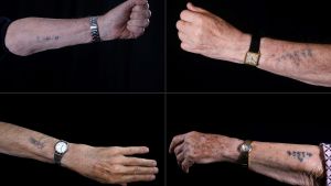 Utmärkande för fångarna på Auschwitz-Birkenau var att de tatuerades med ett identifikationsnummer som på bilden ovan. Bildmontaget visar händer med nummeridentifikation från koncentrationslägret Auschwitz.