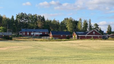 Vy över byggnaderna på Skräddars gård i Ingå.