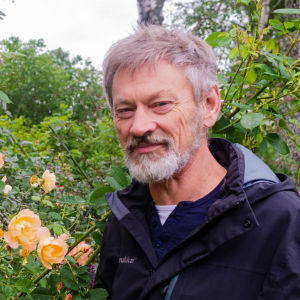 En äldre, skäggig man står bredvid ett rosenbuskage.