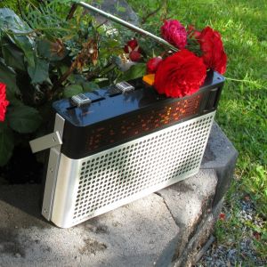 En radioapparat omgiven av blommor