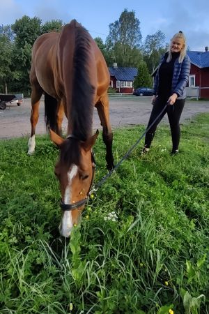Emilia Hellmans stora passion är hästar. En häst betar i gräset. En ung kvinna, Emilia Hellman, står bredvid.
