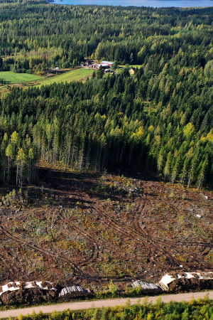 Metsähakkuita Ruovedellä, ilmakuva.