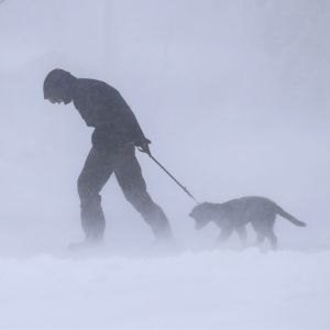 En person går med sin hund genom snö i en snöstorm.