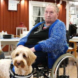 Nona Borgström och Erna Svahnström umgås med vårdhunden Cooper. Vårdhunden Cooper poserar tillsammans med Nona Borgström och Erna Svahnström på Grannas äldreboende i Nagu
