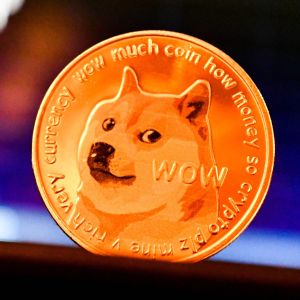 Ett dogecoin-mynt som pryds av shiba inun Kabosus ansikte och "wow" skrivet i comic sans.