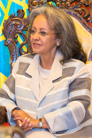 Sahle-Work Zewde. Etiopiens president Sahle-Work Zewde sitter i en stol med händerna i knät. I bakgrunden syns ett antal av Etiopiens flagga.