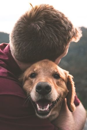 ihminen halaa koiraa