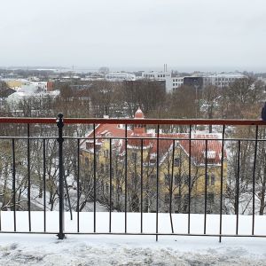 En estnisk säkerhetspolis vakar över norra Tallinn från en utsiktsplats på Domberget.