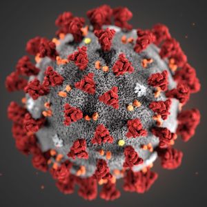 Coronaviruset har spridit sig världen över och folk har insjuknat i sjukdomen covid-19 sedan slutet av år 2019. bild på coronavirus
