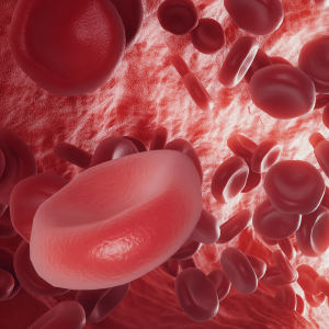 Röda blodkroppar. Illustration.