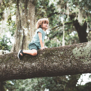 Ett barn som klättrar ovanpå en trädstam.