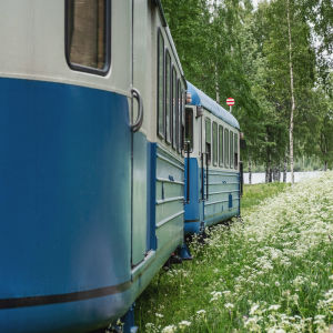 Sinisiä junavaunuja valkoisten kukkien ympäröimänä.