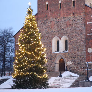 Led-lampuin valaistu joulukuusi Turun tuomiokirkon edustalla.