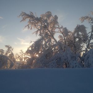 talvi maisema