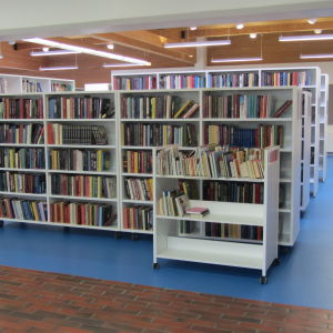 Vuxenböckerna i Ingås nya bibliotek finns där fullmäktige tidigare samlades i kommungården.