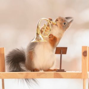 Orava yrittää soittaa pientä torvea