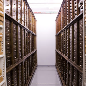 Olli Lehto Luonnontieteellisessä museossa