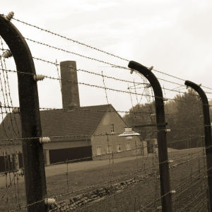 Buchenwaldin keskitysleirillä vallitsi vankien kesken tiukka hierarkia ja kuri. Keitä SS-vartijat valitsivat luottovangeiksi?