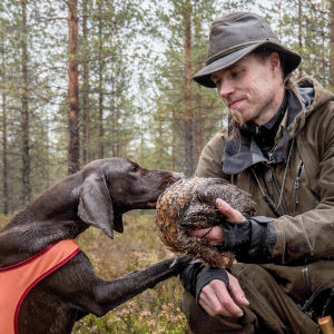 Antti Kokko koirineen