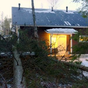 En av granarna föll precis bredvid huset.