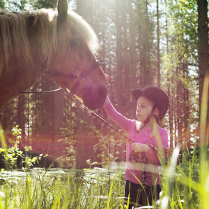 pieni tyttö taputtaa hevosta turvalle niityllä, aurinkoisen metsän reunassa