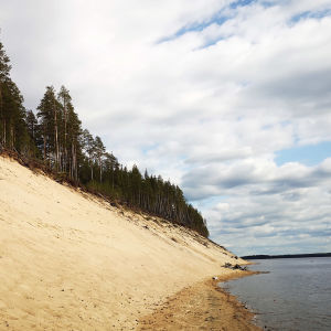 Saari, jossa korkea harjumainen muodostelma hienoa vaaleaa hiekkaa, ylhäällä mäntymetsää.