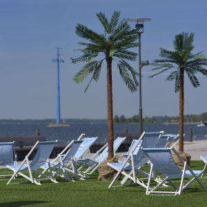 ett terassområde med palmer och blåvitrandiga solstolar på en festival