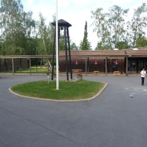 Alskat