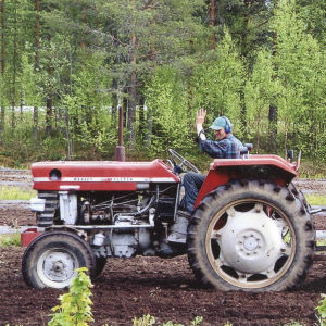 Kuvassa punainen avomallinen Massey Ferguson -merkkinen traktori pellolla. Traktori vetää perässään perunanistutuskonetta, jonka päällä istuu kaksi ihmistä perunoita laitteeseen pudottamassa. 